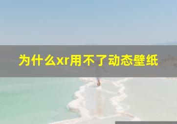 为什么xr用不了动态壁纸