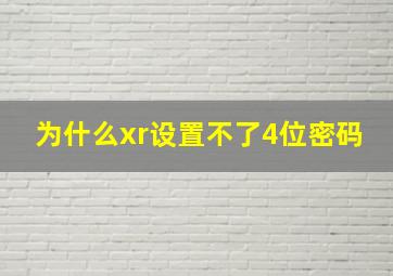 为什么xr设置不了4位密码