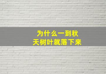 为什么一到秋天树叶就落下来