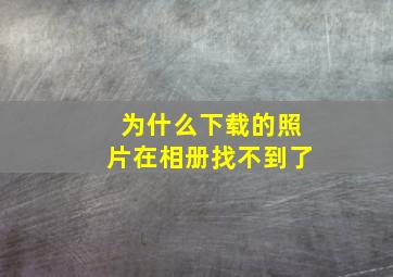 为什么下载的照片在相册找不到了