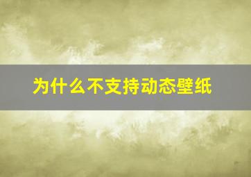 为什么不支持动态壁纸