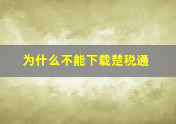 为什么不能下载楚税通