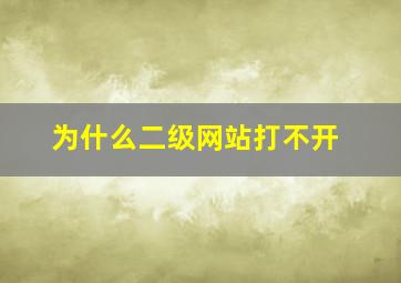 为什么二级网站打不开