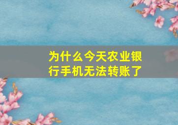 为什么今天农业银行手机无法转账了