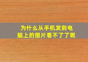 为什么从手机发到电脑上的图片看不了了呢