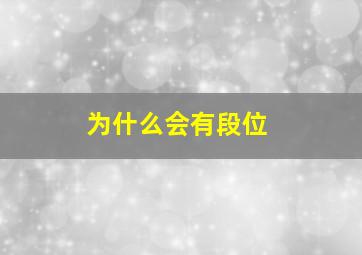 为什么会有段位