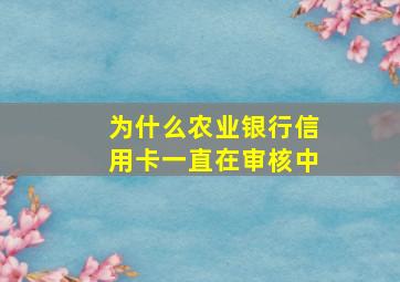 为什么农业银行信用卡一直在审核中