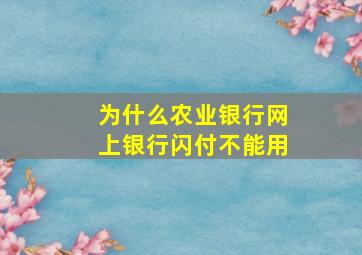 为什么农业银行网上银行闪付不能用