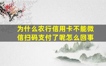 为什么农行信用卡不能微信扫码支付了呢怎么回事