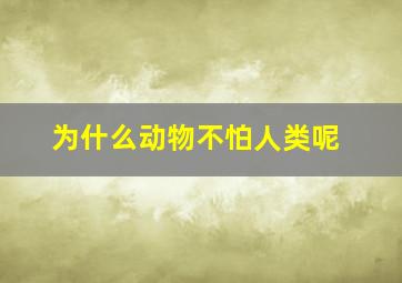 为什么动物不怕人类呢