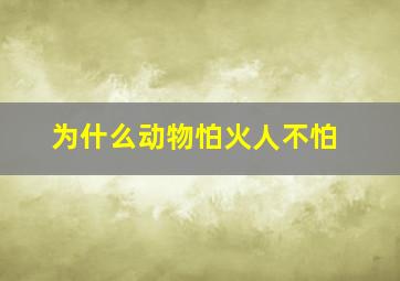 为什么动物怕火人不怕