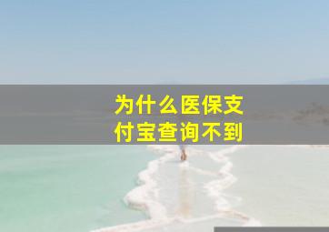 为什么医保支付宝查询不到