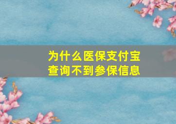 为什么医保支付宝查询不到参保信息