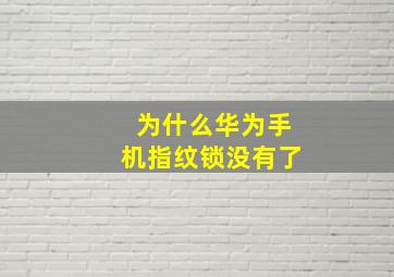 为什么华为手机指纹锁没有了