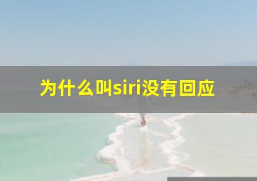 为什么叫siri没有回应