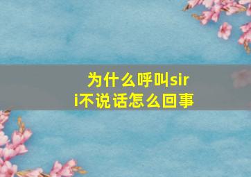 为什么呼叫siri不说话怎么回事