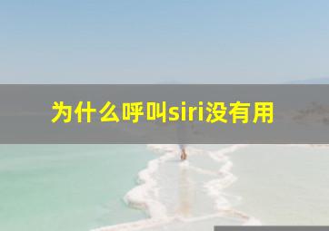 为什么呼叫siri没有用