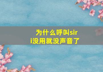 为什么呼叫siri没用就没声音了