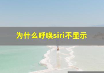 为什么呼唤siri不显示