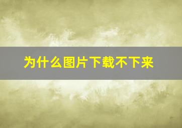 为什么图片下载不下来