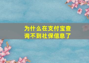 为什么在支付宝查询不到社保信息了