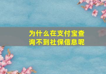 为什么在支付宝查询不到社保信息呢