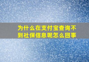 为什么在支付宝查询不到社保信息呢怎么回事