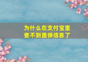 为什么在支付宝里查不到医保信息了