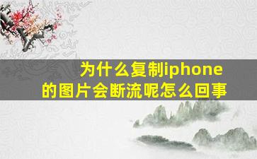 为什么复制iphone的图片会断流呢怎么回事