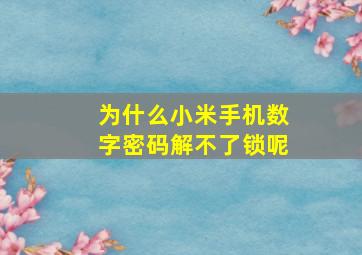 为什么小米手机数字密码解不了锁呢