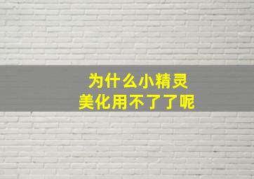 为什么小精灵美化用不了了呢