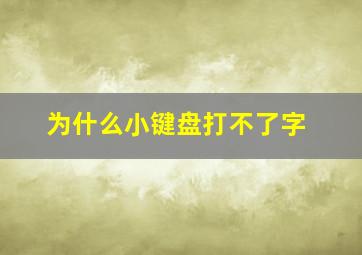 为什么小键盘打不了字