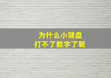 为什么小键盘打不了数字了呢