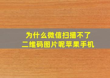 为什么微信扫描不了二维码图片呢苹果手机