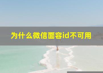 为什么微信面容id不可用