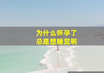 为什么怀孕了总是想睡觉啊