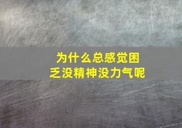 为什么总感觉困乏没精神没力气呢