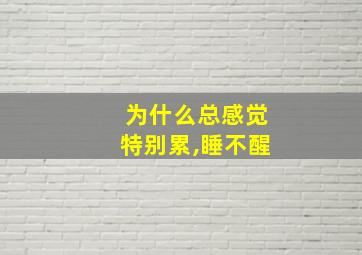 为什么总感觉特别累,睡不醒