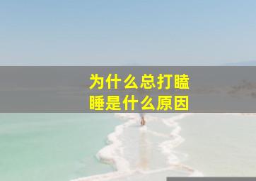 为什么总打瞌睡是什么原因