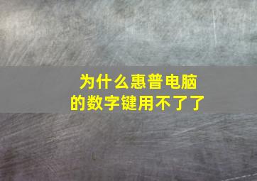 为什么惠普电脑的数字键用不了了