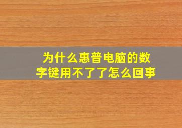 为什么惠普电脑的数字键用不了了怎么回事