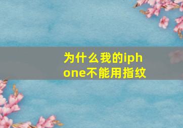 为什么我的iphone不能用指纹