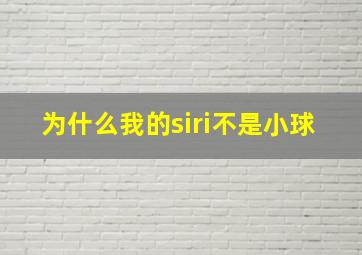 为什么我的siri不是小球