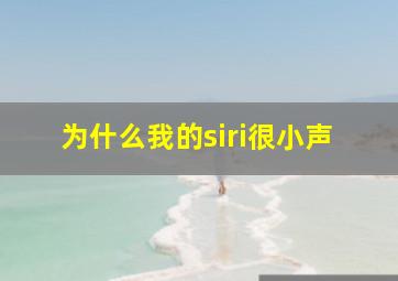 为什么我的siri很小声