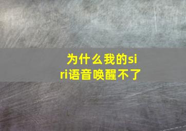 为什么我的siri语音唤醒不了