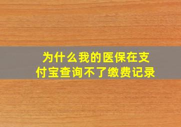 为什么我的医保在支付宝查询不了缴费记录