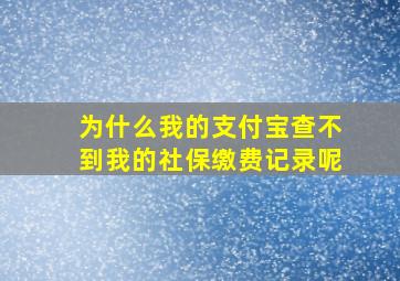 为什么我的支付宝查不到我的社保缴费记录呢