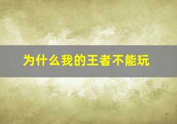 为什么我的王者不能玩