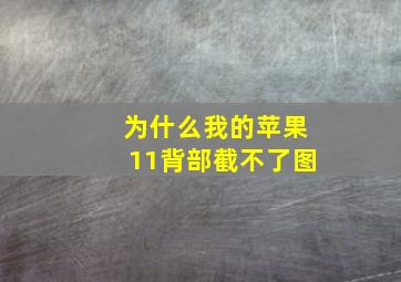 为什么我的苹果11背部截不了图