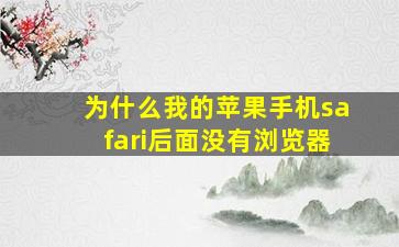 为什么我的苹果手机safari后面没有浏览器